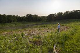 Community members voice concerns over tree clearing at Franklin Creek State Natural Area