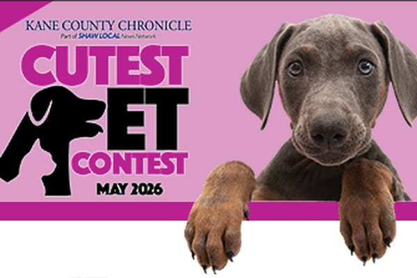 Kane County May Cutest Pet