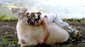 Photos: Northwest Herald photojournalist Gregory Shaver's favorite photos from 2025