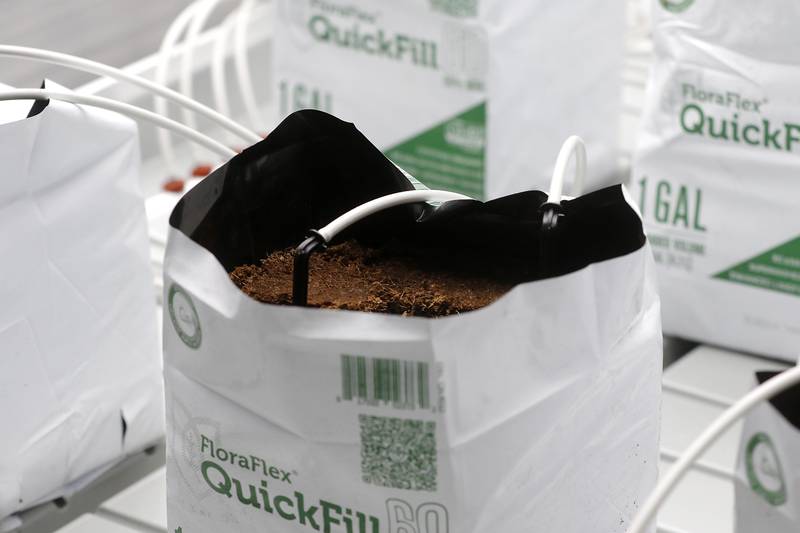 A growing containers inside Oregonix Farms' new craft grow facility in Huntley on Friday, July 14, 2023.