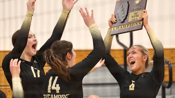 Photos: Sycamore, Dixon volleyball vie for Class 3A Rochelle Regional championship