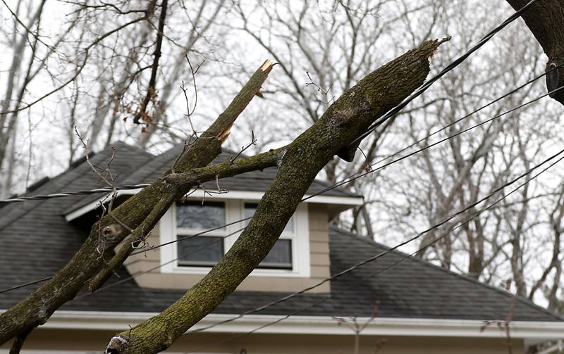 A downed tree branch hangs on a power line at a home near the intersection of Grove Street and Pomeroy Avenue in Crystal Lake on Thursday, Feb. 23, 2023, as county residents recover from a winter storm that knocked down trees and created power outages throughout McHenry County.