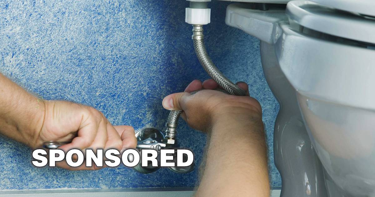 Can you flush food down the toilet? Shaw Local