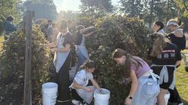 Princeton students have hands-on experience to process grape jelly   