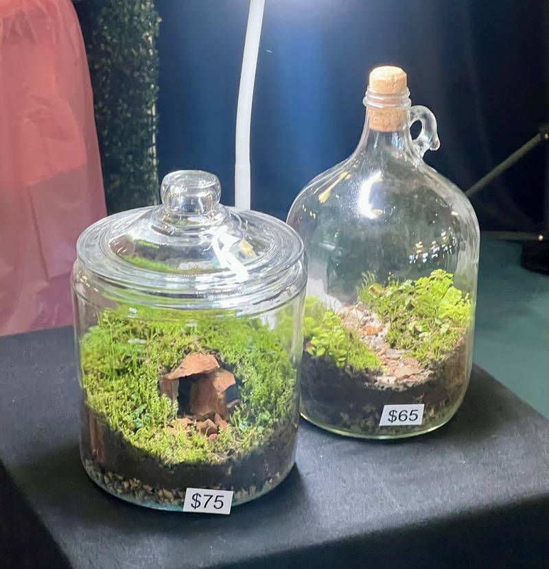 Terrariums from student-owned business, Snippet of Green, were featured at the Whiteside Area Career Center's CEO program student trade show April 23, 2025.
