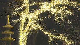 Anderson Japanese Gardens in Rockford to host holiday ‘Illuminated’ event