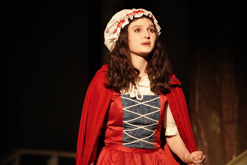 Elena Akerberg of Prairie Ridge High School in Crystal Lake, pictured here in a recent production of "Into the Woods," will play Fiona in the Illinois Theatre Association’s musical production of “Shrek” this January.