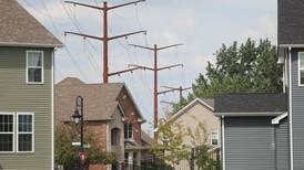 New power poles: Shorewood resident calls them ‘ominous,’ ComEd says they look more natural