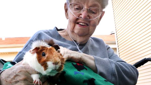 Photos: Mobile petting zoo visits DeKalb County Rehab and Nursing Center
