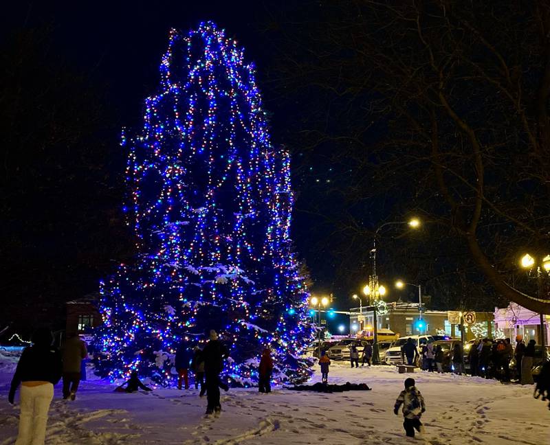 A holiday tree stands on the DeKalb County Courthouse lawn, lit up for the season with a little help from Santa Claus, Mrs. Claus and area children on Friday, Dec. 5, 2025, during the annual downtown Walk with Santa.