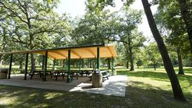 Green spaces boost children’s cognitive skills, strengthen family well-being, study shows    