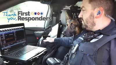 Meet Wes, Sycamore’s first K-9 police officer