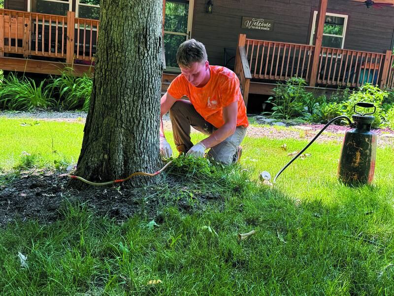Taylor's Way in Princeton was voted Best Lawn Care Specialist, Best Tree Service and One of the Best Pest Control in the Best of the Illinois Valley awards.