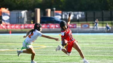 What to watch: 5 fall sports preseason storylines for the Daily Journal area
