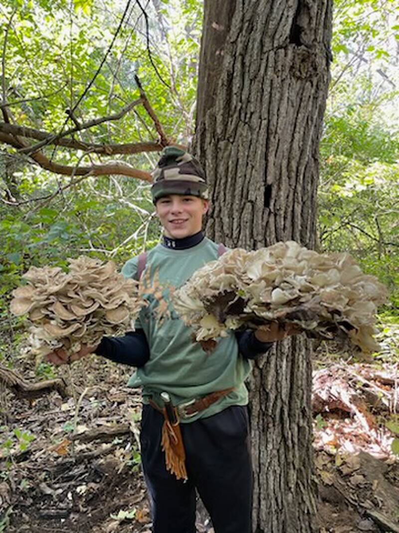 Koby Clark, 14, of Marseilles, harvested prized hen-of-the-wood mushrooms Saturday.