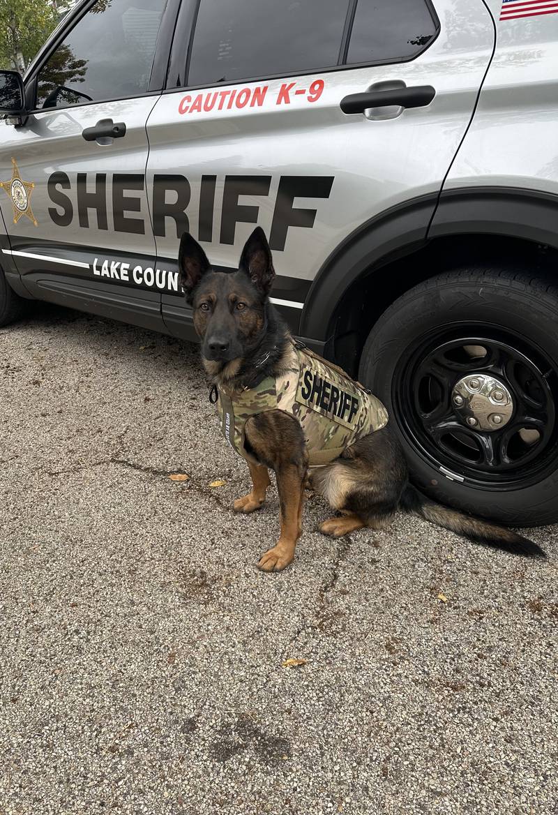 Lake County Sheriff’s Office K9 Axel received a bullet and stab protective vest thanks to a charitable donation from nonprofit organization Vested Interest in K9s Inc.
