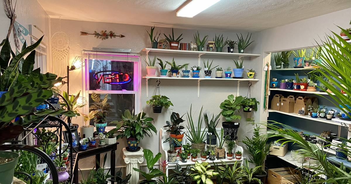 Crest Hill plant, wellness store opens new location