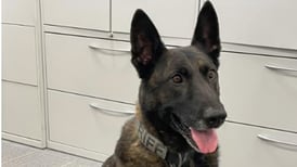 K-9 Nemo retires from Lee County Sheriff’s Office