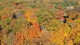 Princeton Park District announce City County Park opening