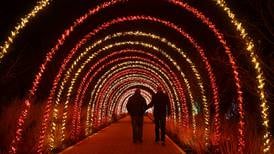 Discover cozy holiday magic by candlelight and firelight across the northern Illinois