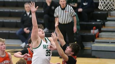 Photos: Roanoke-Benson vs. Seneca boys basketball in the Tri-County Conference Tournament