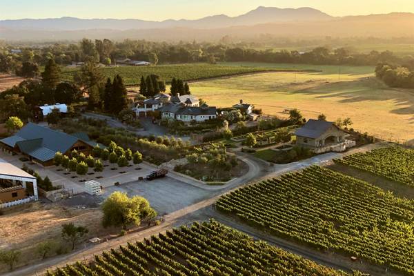 Viognier, a niche white wine, offers fruity, crisp taste to pair with a variety of cuisines