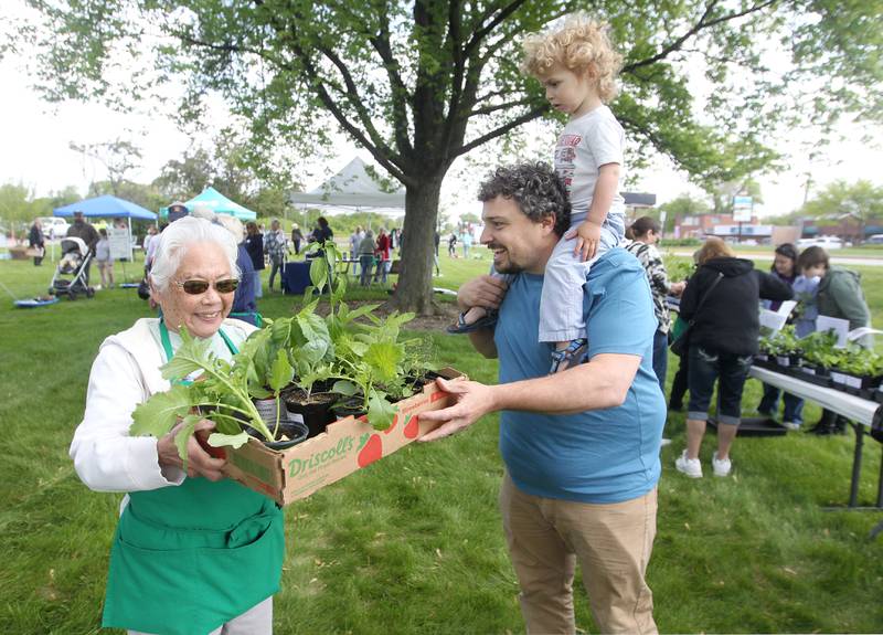 Gail Tanimura, of Long Grove, master gardener, helps Bryan Donaldson, of Highland Park, and his son, Elliot Kramer, 2, carry the vegetable plants they picked out during the Lake County Extension Master Gardener Spring Plant Sale on Saturday, May 20, 2023, at the University of Illinois Extension in Grayslake.
