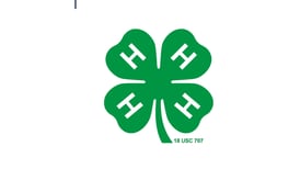 Ogle County 4-H invites youths to Day of Dabbling on Feb. 28