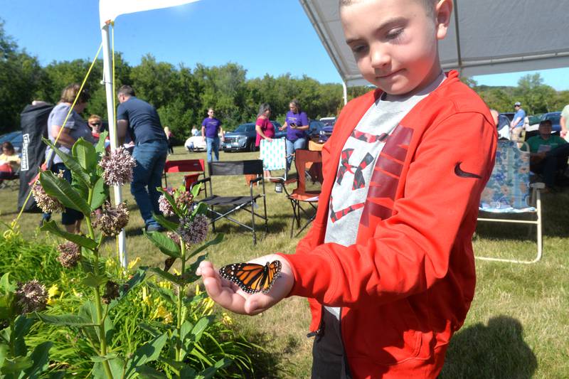 Bentley Helfrich, 9, of Dixon, encourages a Monarch butterfly to land on a milkweed plant during the Serenity Hospice & Home Memorial Butterfly Release on Saturday, July 8, 2023, in Oregon.