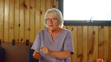 Coloma Township board measure for 9.9% property tax levy falters on 2-3 vote