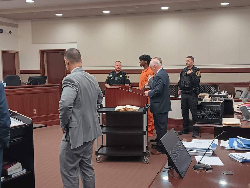 During a court hearing on Oct. 30, Darryl Lee Jr., 19, of Kankakee, was assigned a public defender. He faces 11 felony counts, including first-degree murder, concealment of homicidal death and armed robbery.