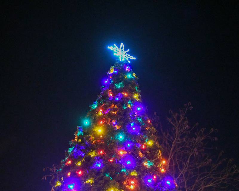 The star on top of the tree shines bright after the tree lighting ceremony took place on Friday Nov. 21, 2025, held at Riverfront Park in Yorkville.