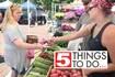 5 things to do in DeKalb County: Story Walk opening, Pro Dance Elite Studies, DeKalb Farmers Market and more