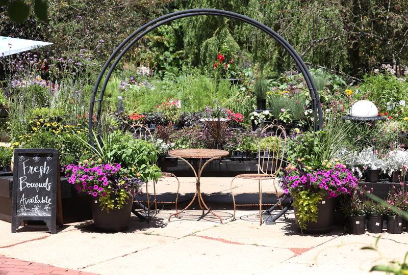 The outside area at Blumen Gardens is decorated with plants and artwork making every shopping trip to the facility a pleasant experience.