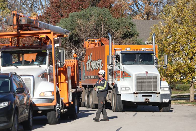 Photos Christmas Tree Makes it's Way to Downtown Joliet. Shaw Local