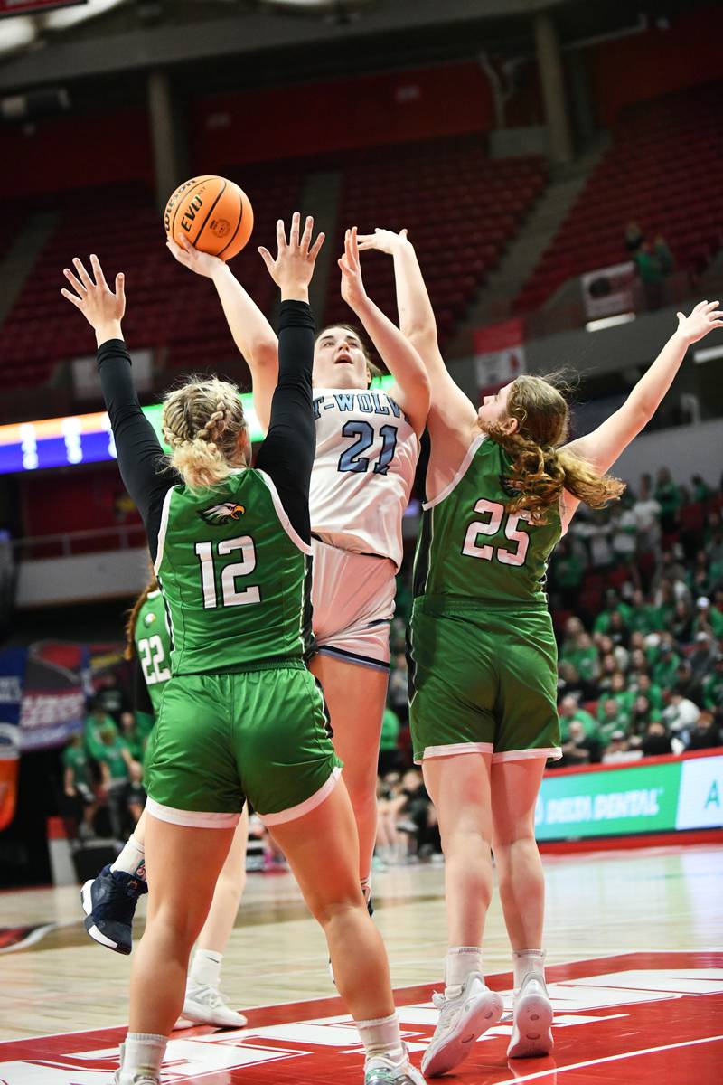 CIssna Park's Lauryn Hamrick shoots under pressure during the Timberwolves' 55-39 loss to Carrollton in the IHSA Class 1A State semifinal on Thursday, March 6, 2025. Cissna Park advances to the third place game on Friday, March 7.