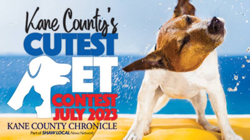 Kane County's July Cutest Pet