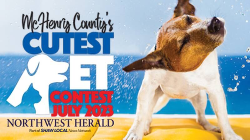 McHenry County's July Cutest Pet