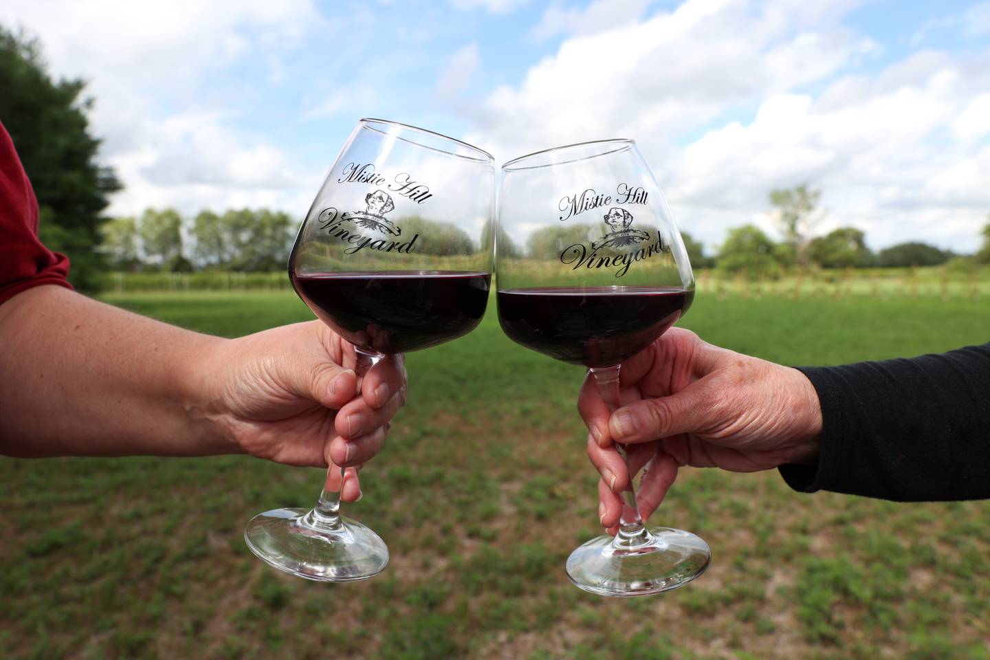 A cheers of Petite Pearl on the patio of Mistie Hill Vineyard in Custer Park.