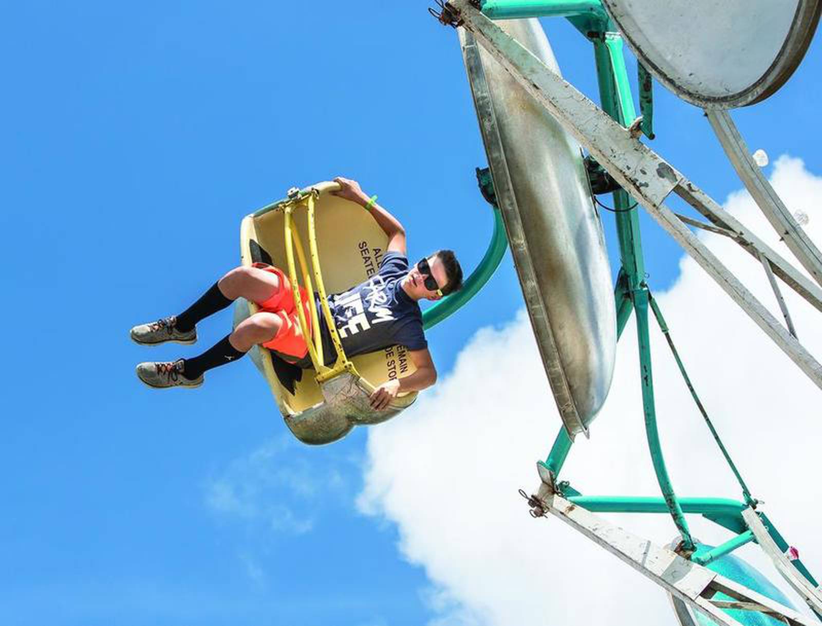 It's Town and Country Days time in Polo Shaw Local