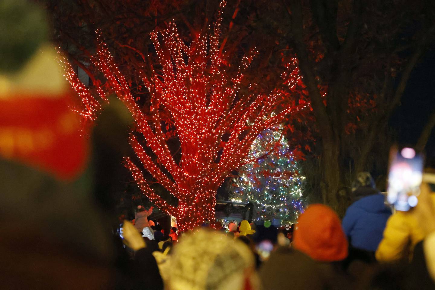People turn and gaze at the lights during the annual Christmas Walk Friday, Dec. 6, 2024 in Geneva.