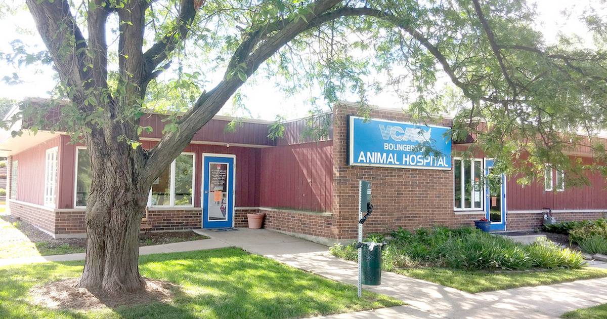 Bolingbrook VCA Animal Hospital to open in new facility – Shaw Local