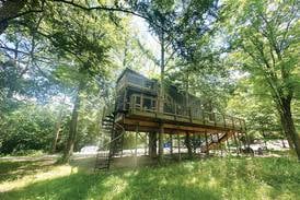 Treehouses at Starved Rock and The Wildflower perfect for adventure escape