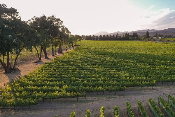 Uncorked: Sullivan – Where the Old World Meets the New World With Elegance and Power