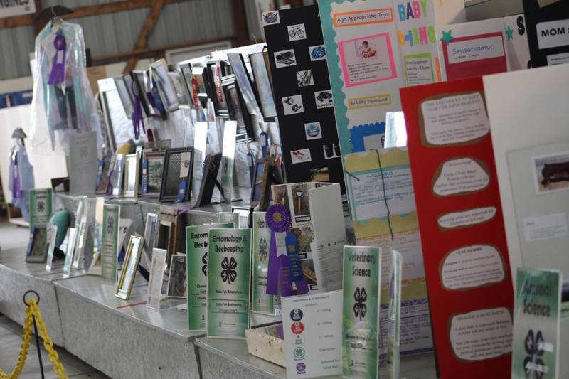 The Livingston County 4-H Show is scheduled July 20-23 at 4-H Park in Pontiac