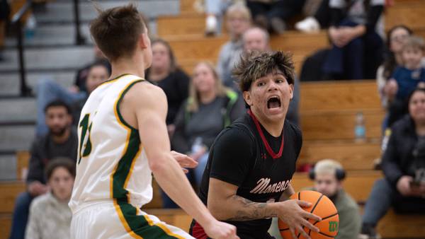 Photos: Grant Park vs. Momence, boys basketball