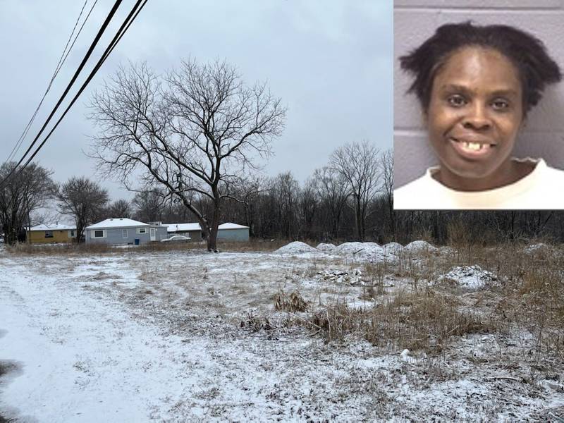 The skeletal remains discovered in a field off Patterson Road were those of Pamela Ann Vincent, who was last seen alive in August 2015, according to the Will County Coroner's Office.
