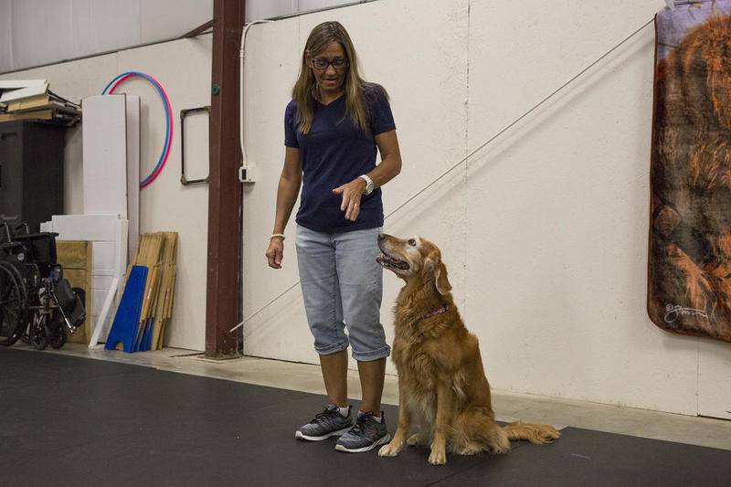 Tanya Mikolajczyk, with her dog Secret, is the lead instructor of the Super Dog Obedience Program on Sept. 12, 2018, at the Lincoln-Way North campus in Frankfort, Ill. Secret is a multiple-time obedience trial champion.