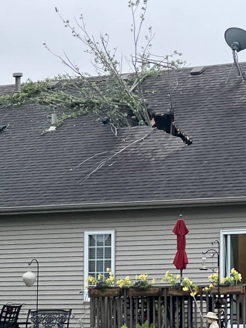 A large tree branch went through a roof of a home in Huntley during severe weather on Wednesday, July 12, 2023. The National Weather Service on Thursday confirmed that an EF-1 tornado touched down in Huntley during the storm.