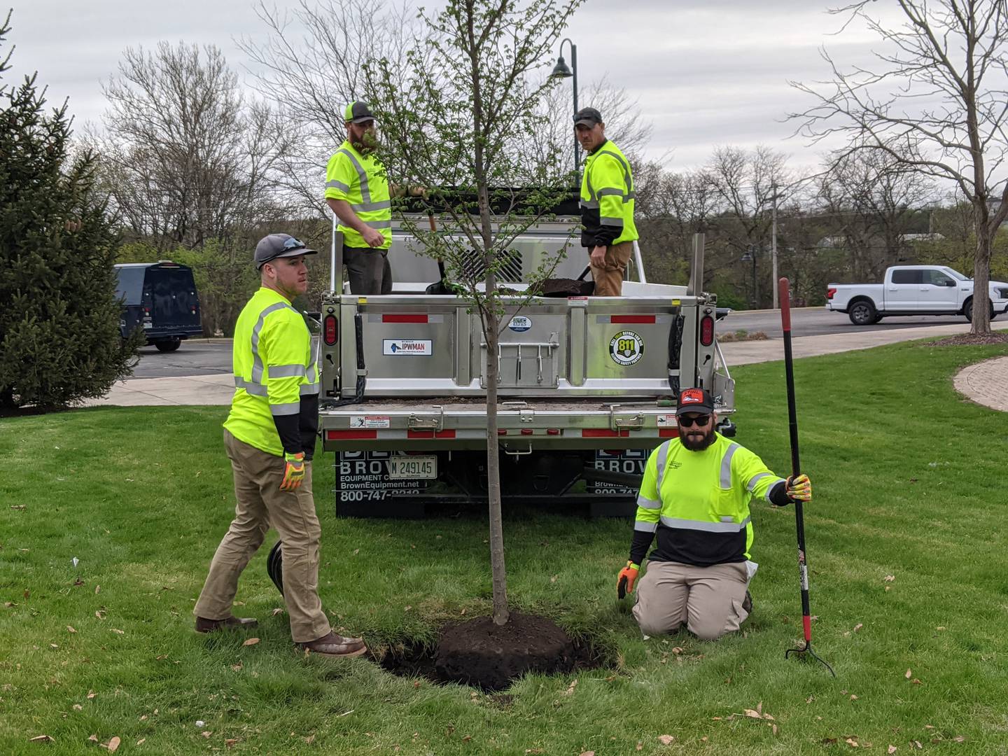 Members of the Oswego Public Works Department help plant a Summer Elixir Elm in front of Oswego Village Hall on Arbor Day, April 25.